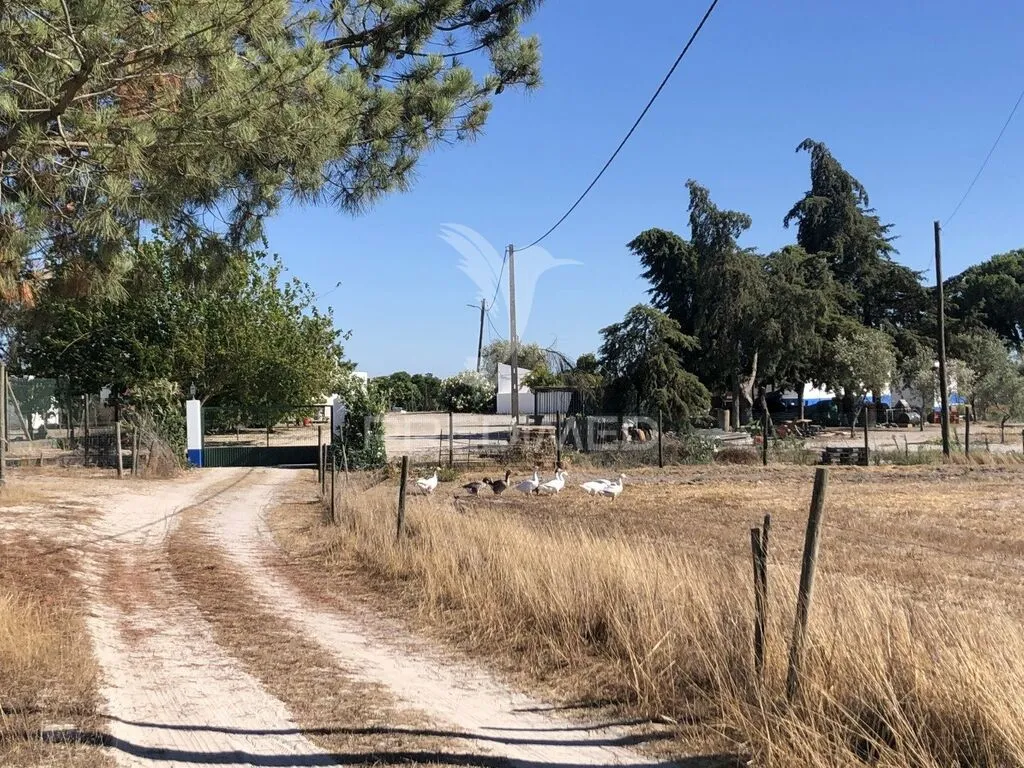 moradia-t5-venda-grandola-e-santa-margarida-da-serra-grandola-setubal