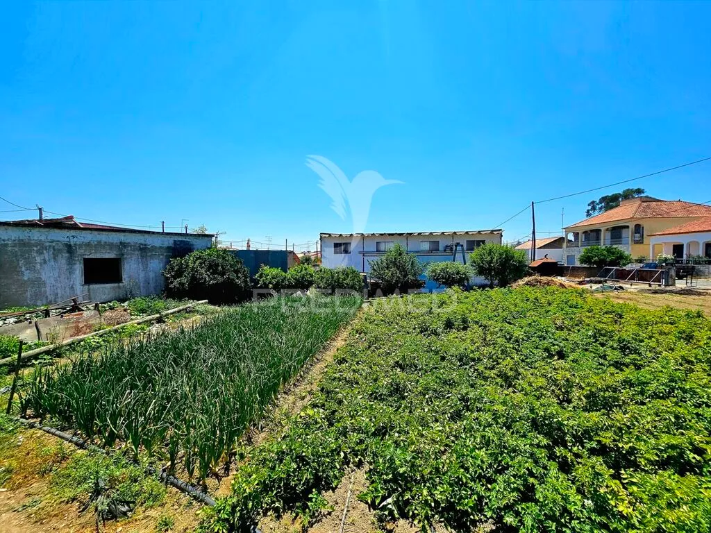 moradia-t4-venda-santa-barbara-de-padroes-castro-verde-beja