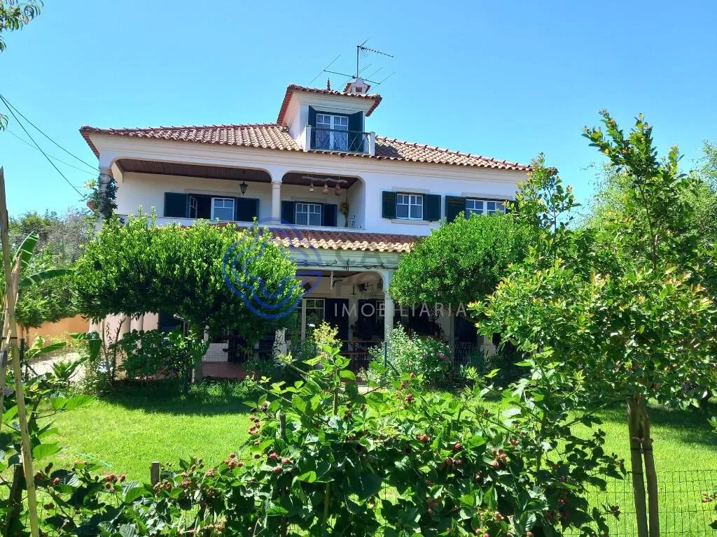 moradia-t5-venda-serra-e-junceira-tomar-santarem