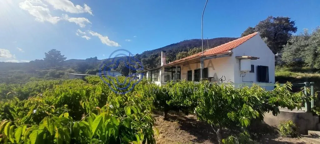 moradia-t2-venda-vale-de-prazeres-e-mata-da-rainha-fundao-castelo-branco