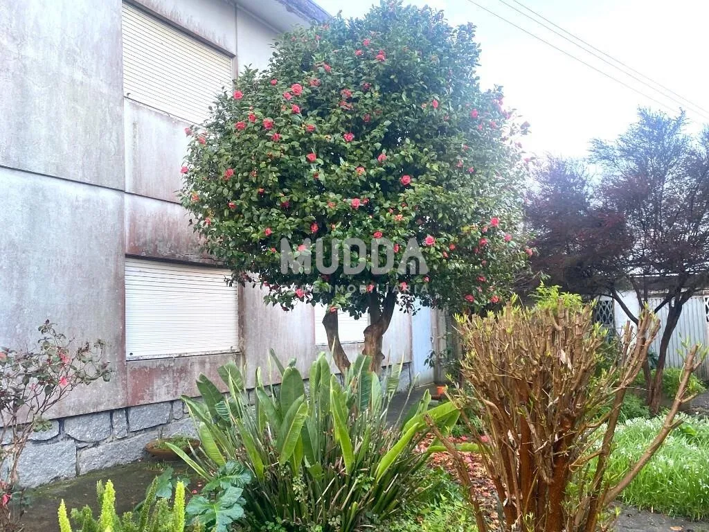 moradia-t5-venda-maceda-ovar-aveiro