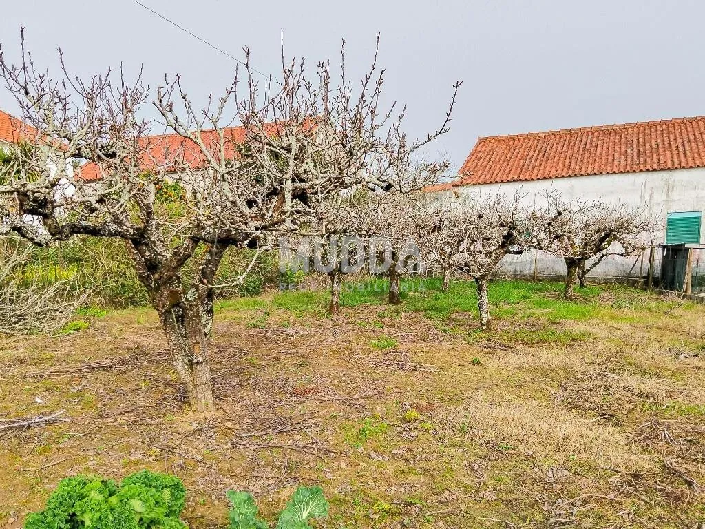 Moradia - foto 1