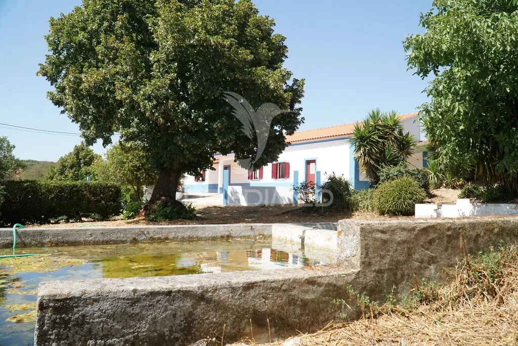 Quinta - foto 1