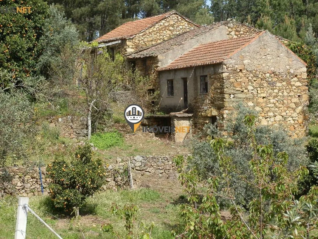 moradia-t6-venda-sarnadas-de-sao-simao-oleiros-castelo-branco