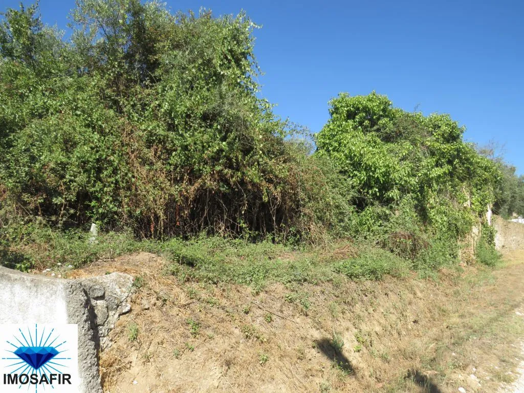 moradia-venda-serra-e-junceira-tomar-santarem