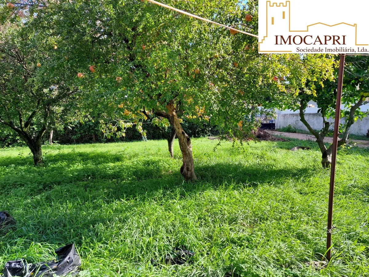 moradia-t6-venda-estremoz-santa-maria-e-santo-andre-estremoz-evora