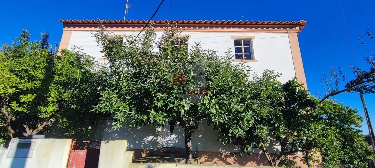 moradia-t3-venda-proenca-a-nova-e-peral-proenca-a-nova-castelo-branco