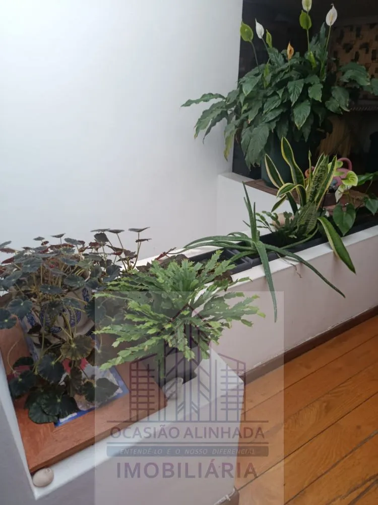 apartamento-t5-venda-oliveira-do-hospital-e-sao-paio-de-gramacos-oliveira-do-hospital-coimbra