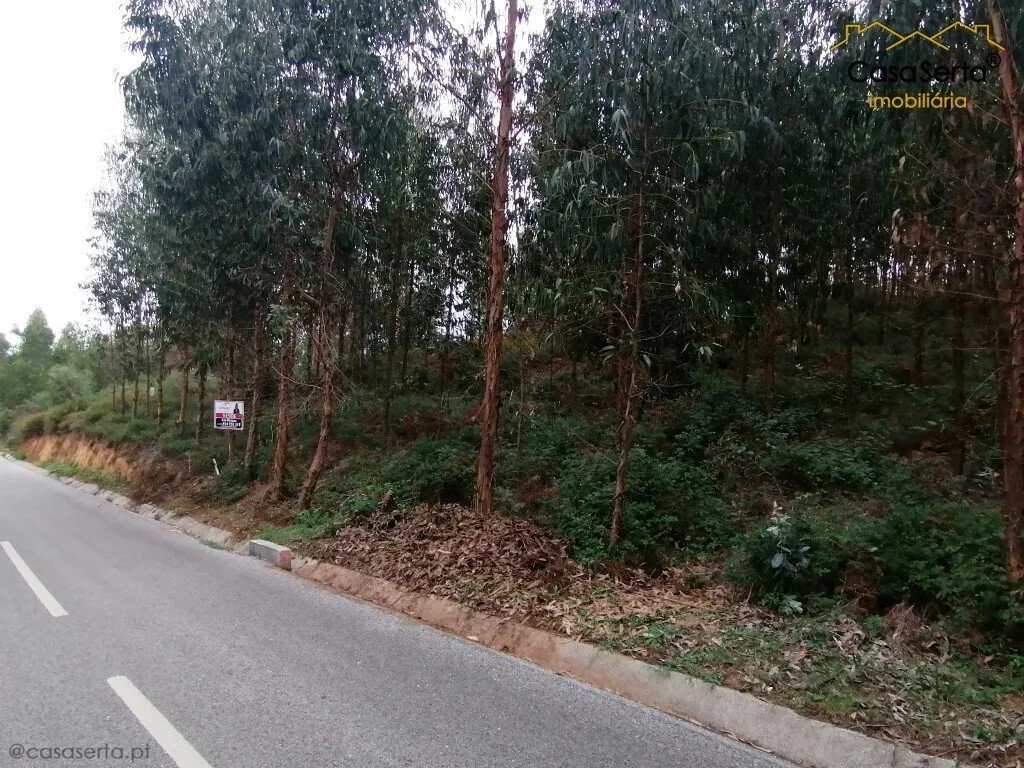moradia-t0-venda-bonjardim-nesperal-e-palhais-serta-castelo-branco