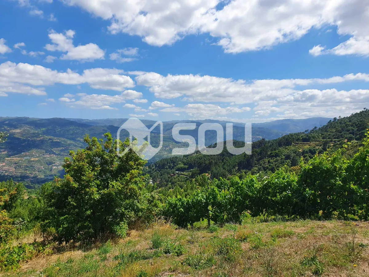 apartamento-t0-venda-santa-cruz-do-douro-e-sao-tome-de-covelas-baiao-porto