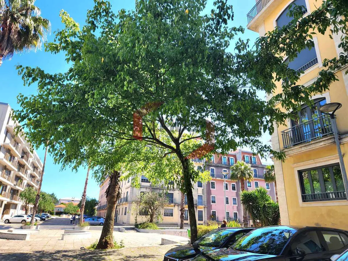 apartamento-t1-venda-oliveira-do-douro-vila-nova-de-gaia-porto