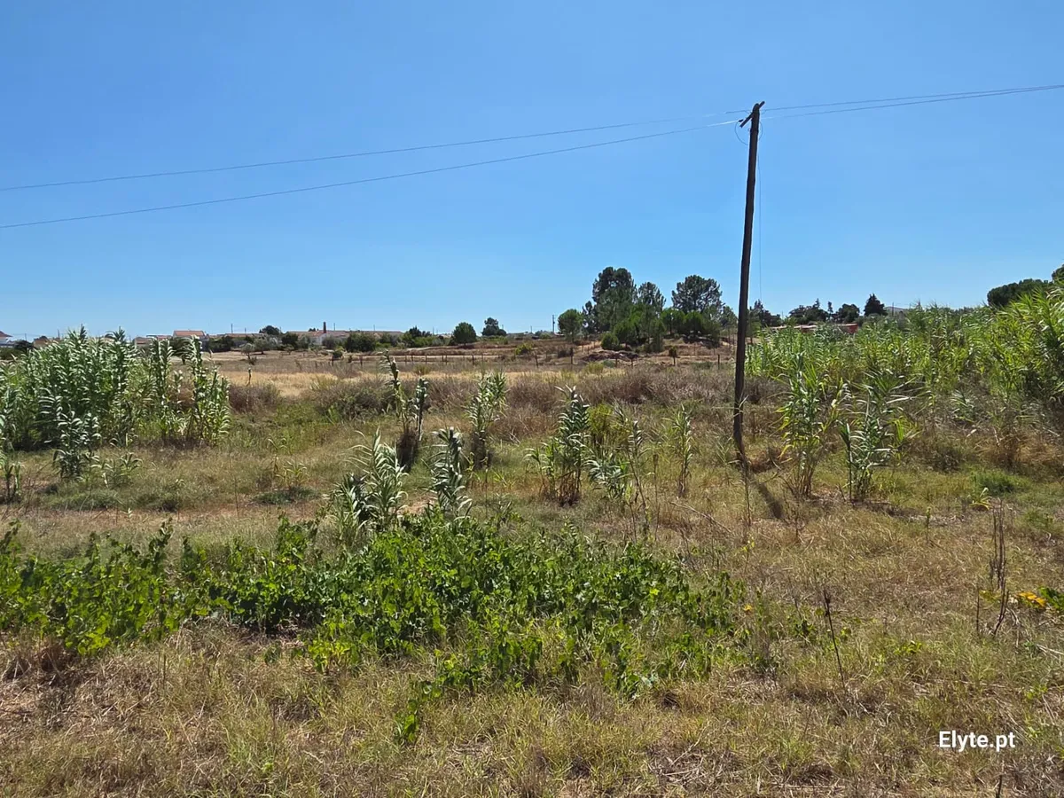 moradia-t3-venda-branca-coruche-santarem