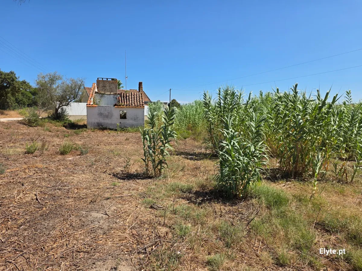 moradia-t2-venda-branca-coruche-santarem